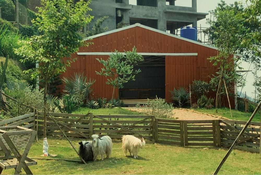 Amer HomeFarm Tam Đảo